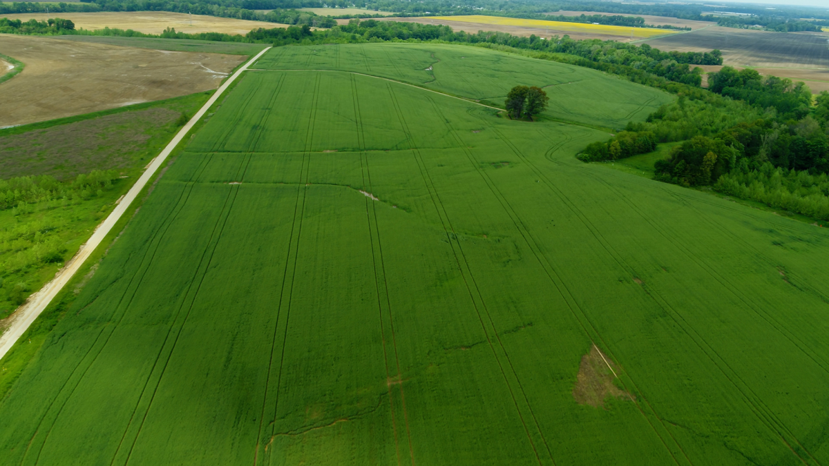KNOX CO. LAND AUCTION Peabody Land